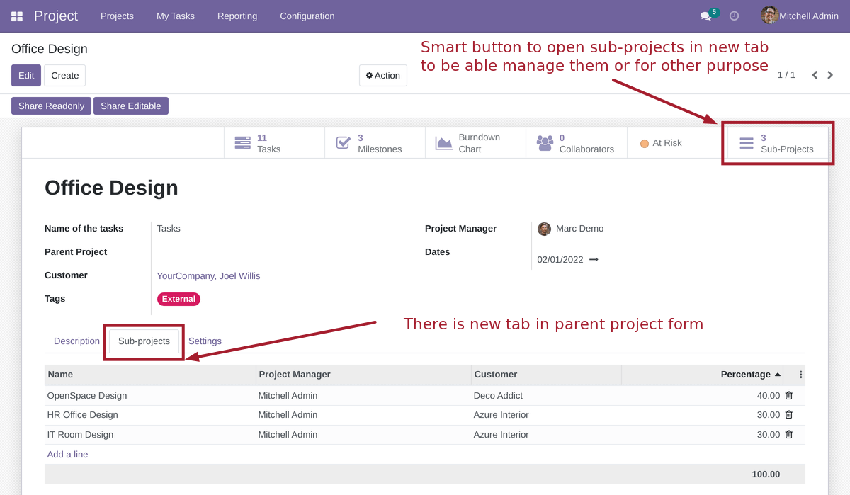 Project Form View - Enabling Checklist Feature