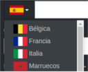 Website Snippet Country Code Dropdown